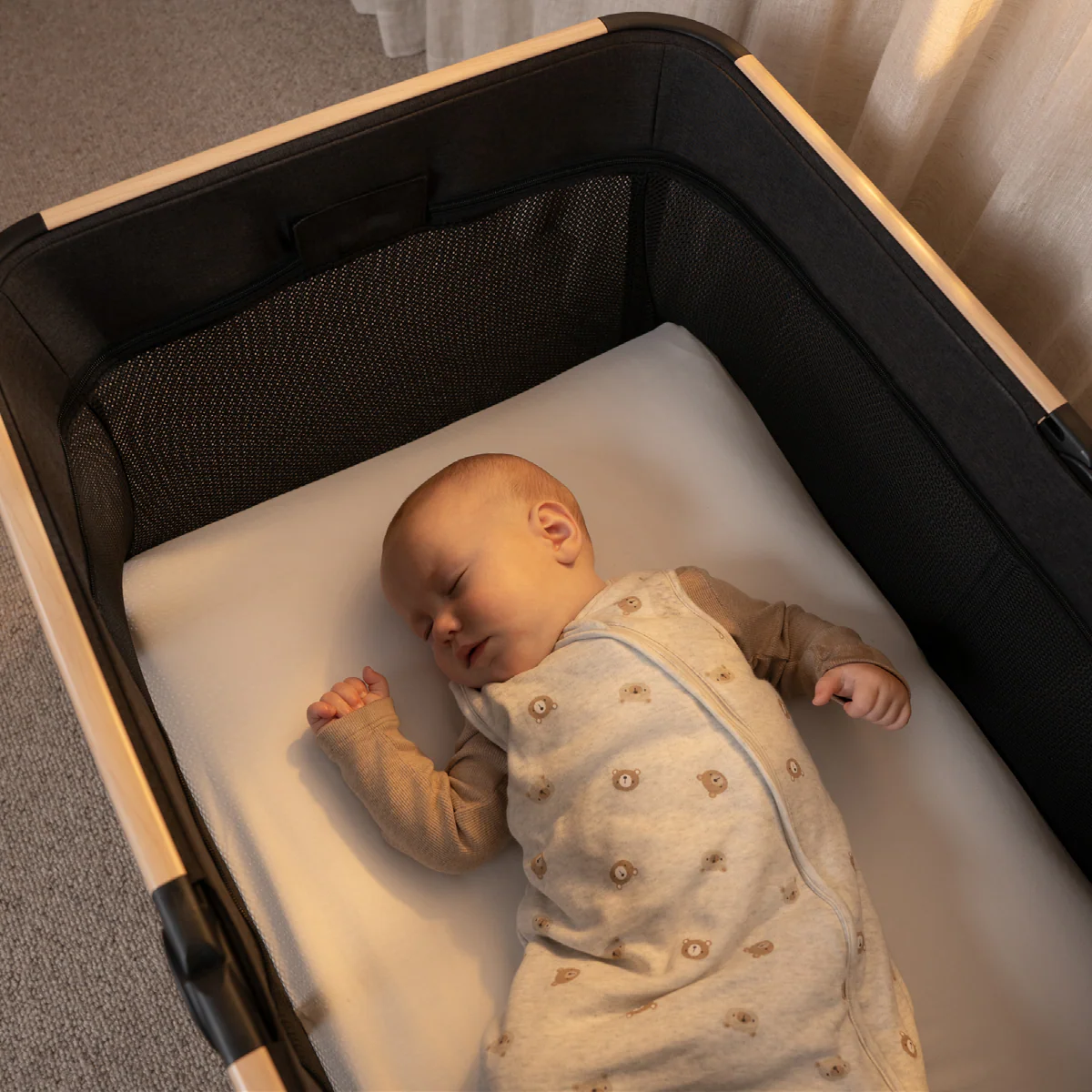 Arlo - Image 10